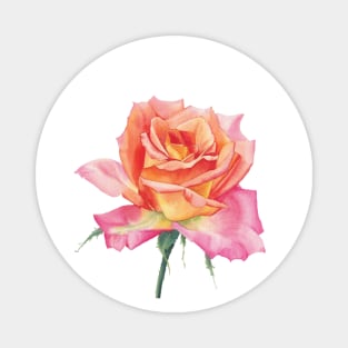 Watercolor orange rose Magnet